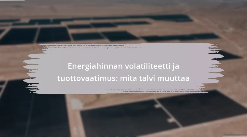 Energiahinnan volatiliteetti ja tuottovaatimus: mita talvi muuttaa